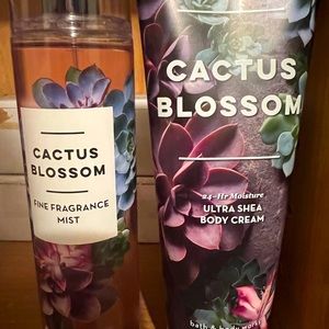 Cactus blossom